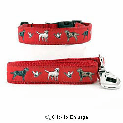 Labrador Collar & Leash
