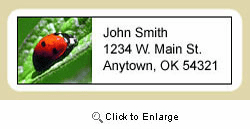 Ladybug Address Labels