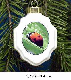 Ladybug Christmas Ornament Porcelain