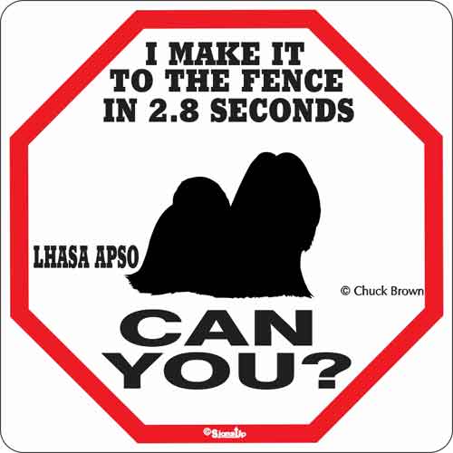 Lhasa Apso 2.8 Seconds Sign