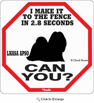 Lhasa Apso 2.8 Seconds Sign