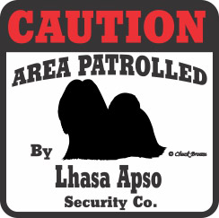 Lhasa Apso Bumper Sticker Caution