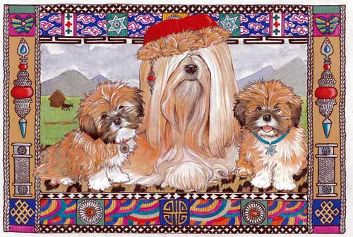 Lhasa Apso Christmas Cards