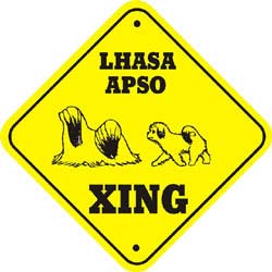 Lhasa Apso Crossing