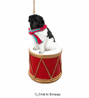 Little Drummer Newfoundland Landseer Christmas Ornament