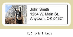Llama Address Labels