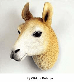 Llama Magnet