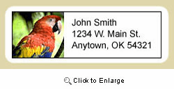 Macaw Address Labels