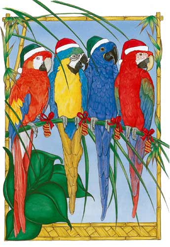 Macaw Christmas Cards