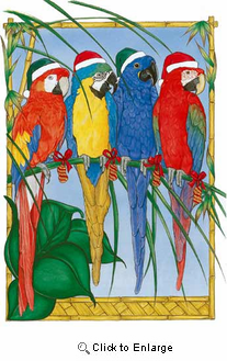 Macaw Christmas Cards