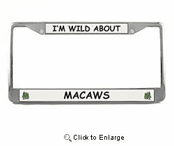Macaw License Plate Frame