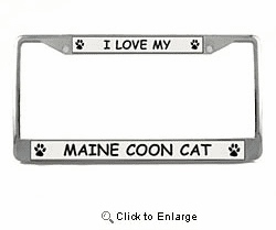 Maine Coon Cat License Plate Frame