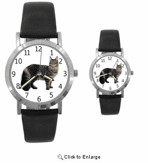 Maine Coon Cat Watch