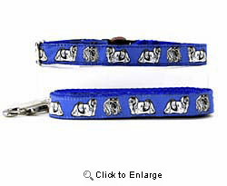 Maltese Collar & Leash
