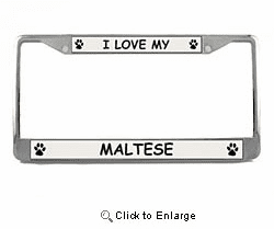 Maltese License Plate Frame