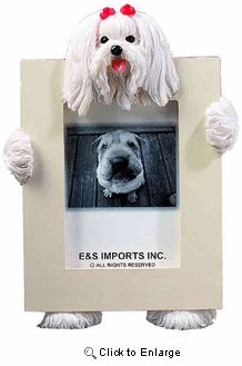Maltese Picture Frame