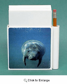 Manatee Hold-a-Note