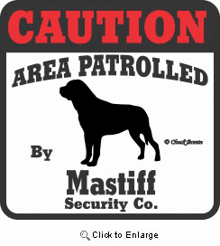 Mastiff Bumper Sticker Caution