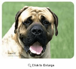 Mastiff Coasters