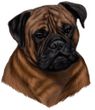 Mastiff Decal Window Sticker