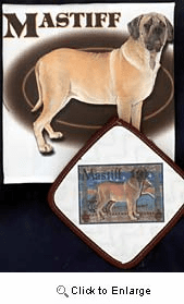 Mastiff Dish Towel & Potholder