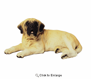 Mastiff Figurine