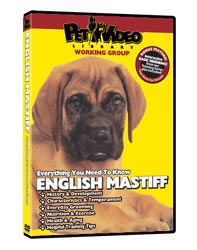 Mastiff Video