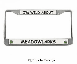 Meadowlark License Plate Frame