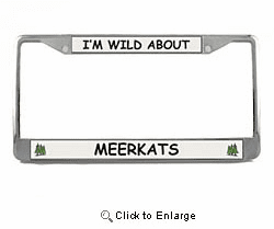 Meerkat License Plate Frame