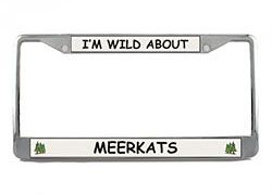 Meerkat License Plate Frame