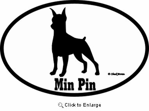 Miniature Pinscher Bumper Sticker Euro