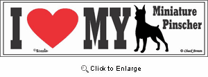 Miniature Pinscher Bumper Sticker I Love My