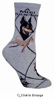 Miniature Pinscher Socks