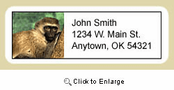 Monkey Address Labels