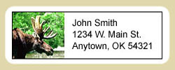Moose Address Labels
