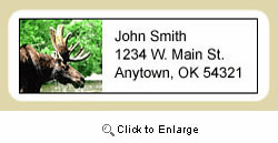 Moose Address Labels