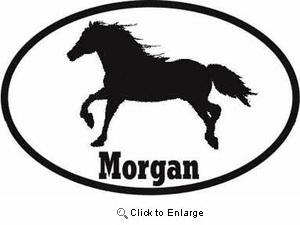 Morgan Horse Bumper Sticker Euro