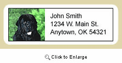 Newfoundland Address Labels