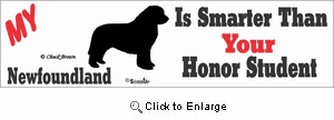 Newfoundland Bumper Sticker Honor Student
