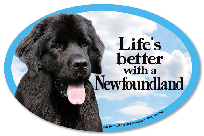 Newfoundland Car Magnet - Life's Better