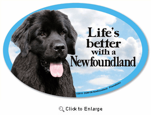 Newfoundland Car Magnet - Life's Better