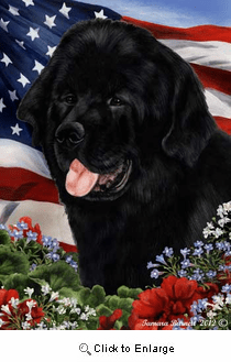 Newfoundland House Flag