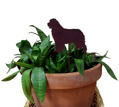 Newfoundland Plant Stake