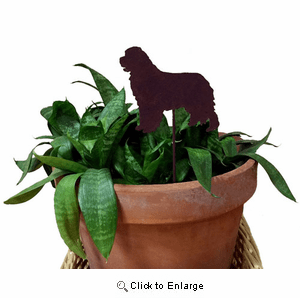 Newfoundland Plant Stake