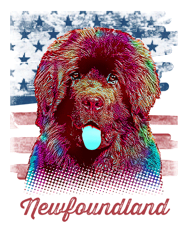 Newfoundland T Shirt American Flag