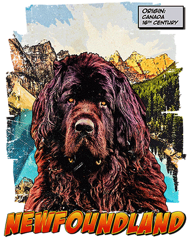 Newfoundland T-Shirt Ancestry