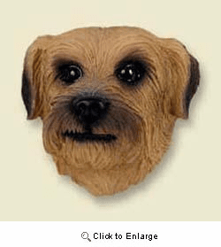Norfolk Terrier Magnet