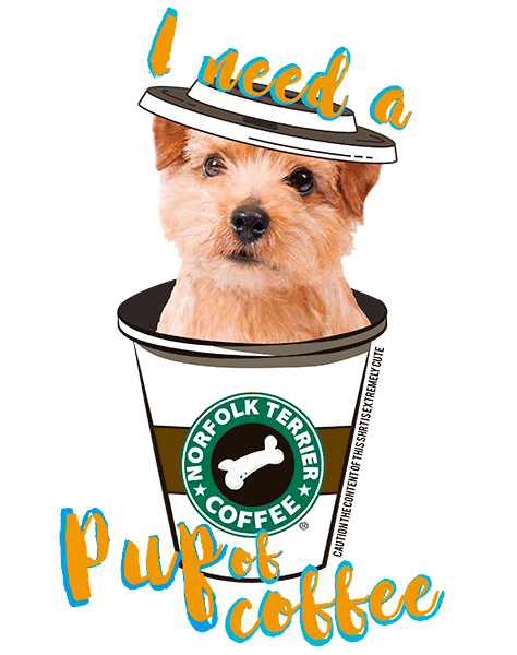 Norfolk Terrier T Shirt - Coffee Mug