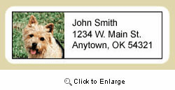 Norwich Terrier Address Labels