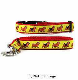 Norwich Terrier Collar & Leash